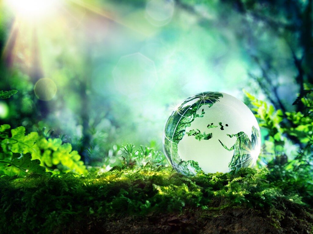 Europe - crystal globe resting on moss in a forest; Scope 3 emissions are the hardest to decarbonize.