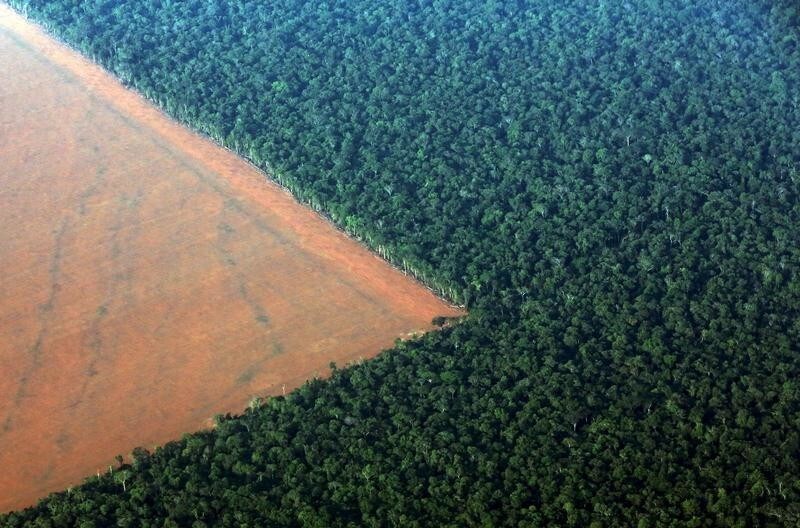 The Amazon rain forest (R), bordered by deforested land prepared for the planting of soybeans, is pictured in this aerial photo taken over Mato Grosso state in western Brazil, October 4, 2015. Brazil will produce a record 97.8 million tonnes of soybeans in 2015/16, a 3.2 percent rise compared to 2014/15, but much of this additional volume will be stored in the country, with little impact on export volumes, estimated on Monday the Brazilian Association of Vegetable Oil Industries (ABIOVE). Picture taken October 4, 2015. REUTERS/Paulo Whitaker TPX IMAGES OF THE DAY - RTS35W9