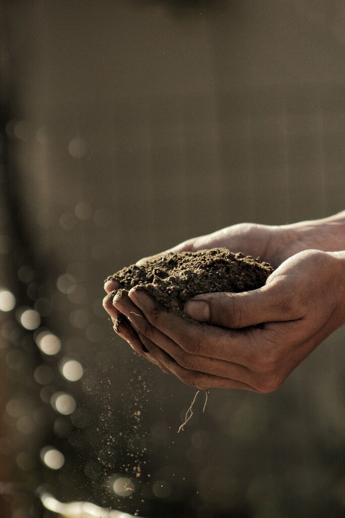 Soils are so abundant today that we often take them for granted or assume they are a constant feature of our planet.