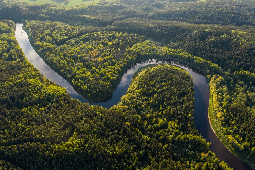 The bioeconomy, supported by technology and circular economy principles, can be a win for sustainability.