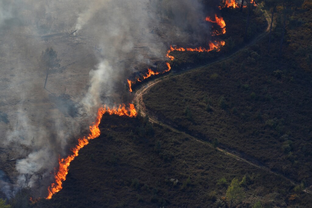 Flames of an approaching forest fire are seen near the small village of Gondomil, near Valenca, Portugal March 27, 2019. REUTERS/Rafael Marchante - RC17F0775100