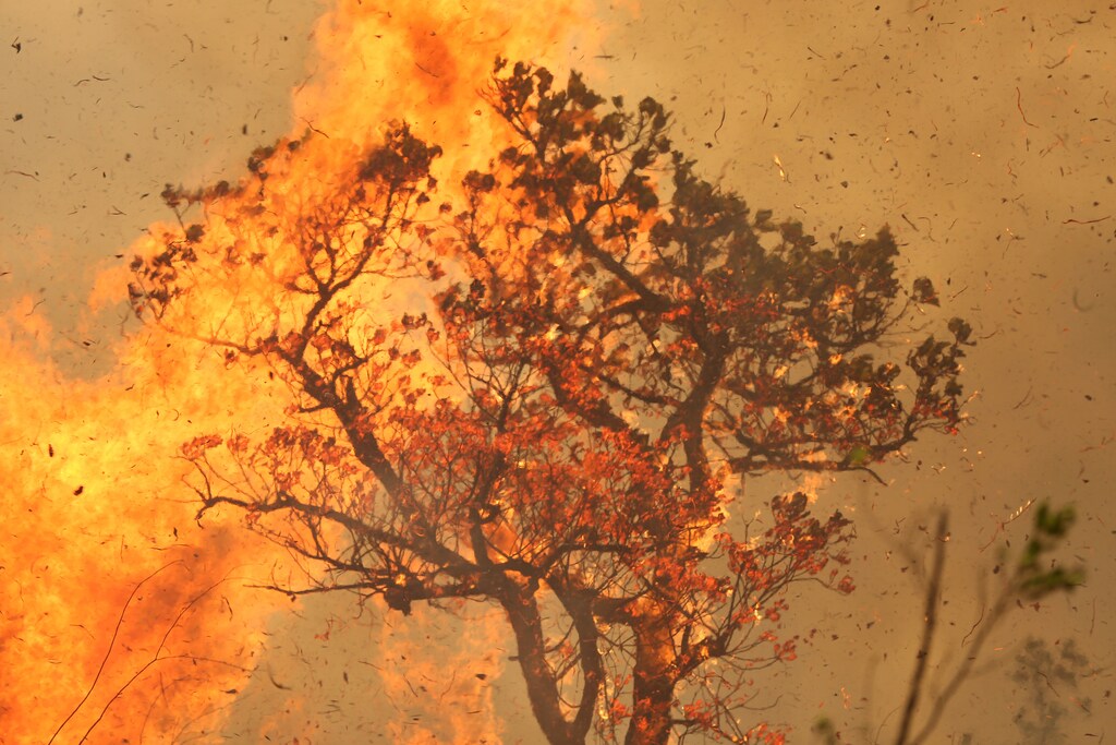 A tract of Amazon jungle burns at Tenharim Marmelos Indigenous Land, Amazonas state, Brazil, September 15, 2019. REUTERS/Bruno Kelly/File Photo SEARCH "AMAZON POY" FOR THIS STORY. SEARCH "REUTERS POY" FOR ALL BEST OF 2019 PACKAGES. TPX IMAGES OF THE DAY. - RC2JPD9AUCKV