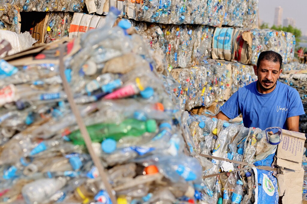 A volunteer for an Egyptian environmental NGO collects plastic waste.