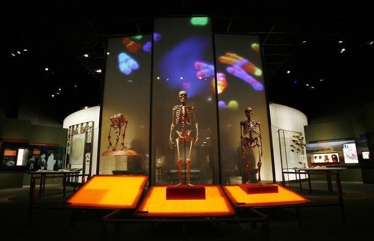 The entrance to the Anne and Bernard Spitzer Hall of Human Origins at the American Museum of Natural History, a permanent exhibition hall that presents the remarkable history of human evolution from our earliest ancestors millions of years ago to modern Homo sapiens, is seen in New York, February 7, 2007. The exhibit will open to the public on February 10, 2007. REUTERS/Shannon Stapleton (UNITED STATES)
