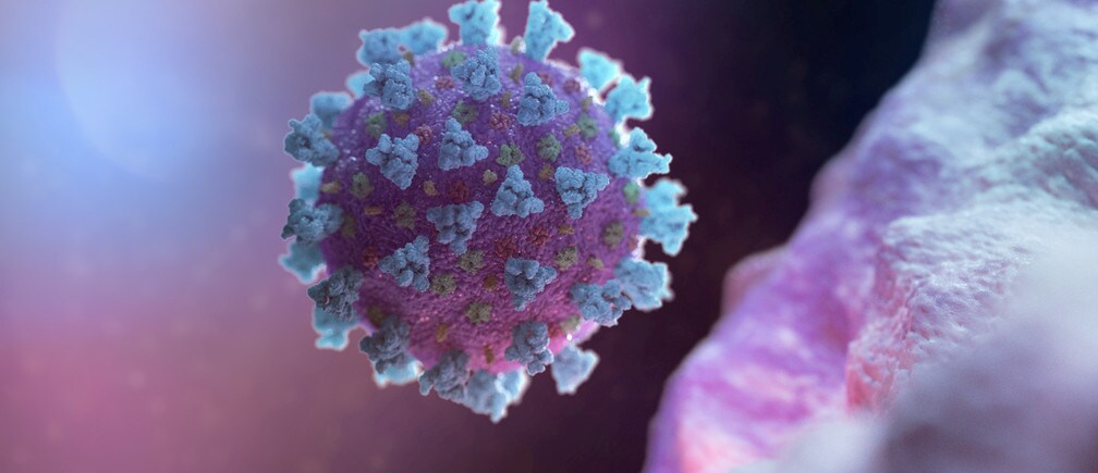 Las enfermedades infecciosas han sido compañeras constantes de los humanos a lo largo de la historia.