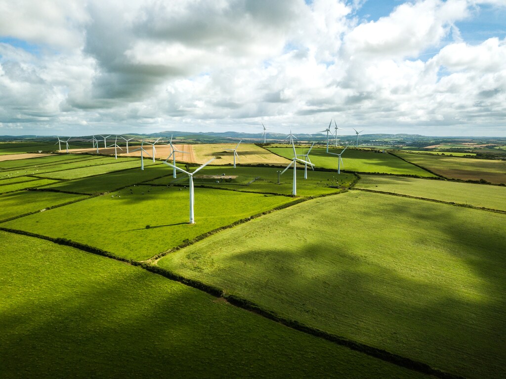 We need energy policy that limits interference and supports businesses in increasing capacity and flexibility.