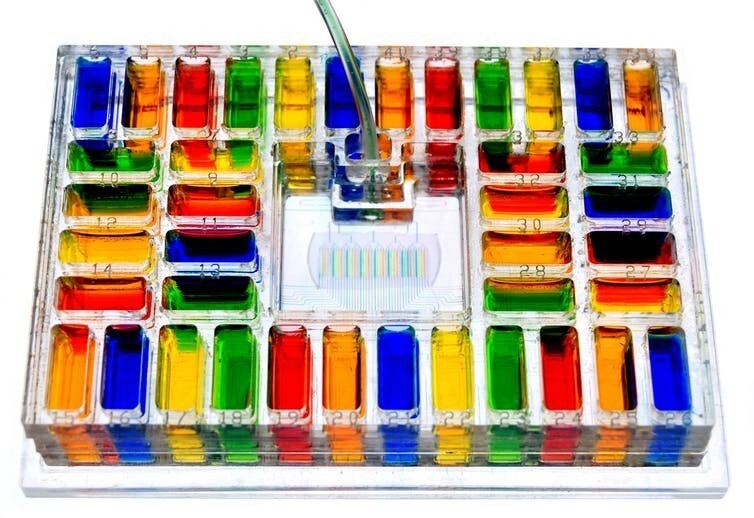 image of microfluidic equipment used in the field of tumor removal