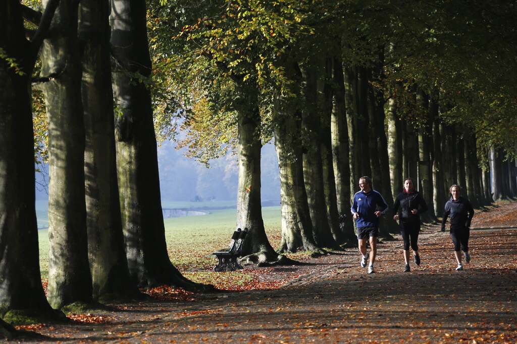 Joggers make their way through a park during autumn in Tervuren, near Brussels October 30, 2012. REUTERS/Francois Lenoir (BELGIUM - Tags: ENVIRONMENT SPORT) - GM1E8AU1JTU01