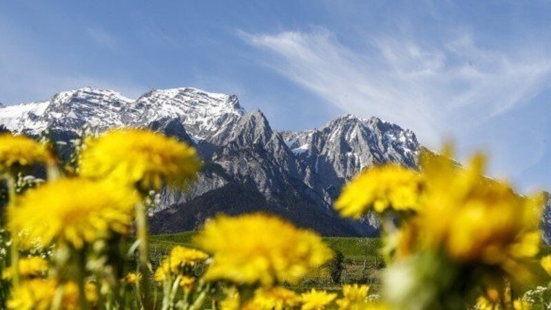 Global Challenges World Economic Forum