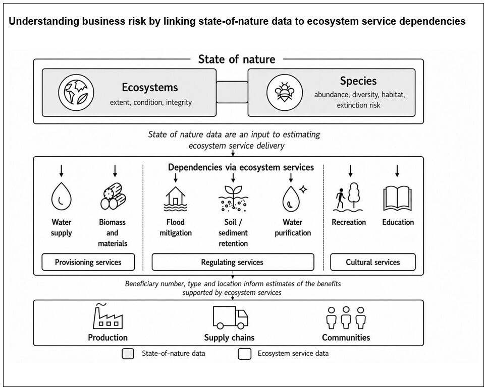 Understanding business risk by linking state-of-nature data to ecosystem service dependencies