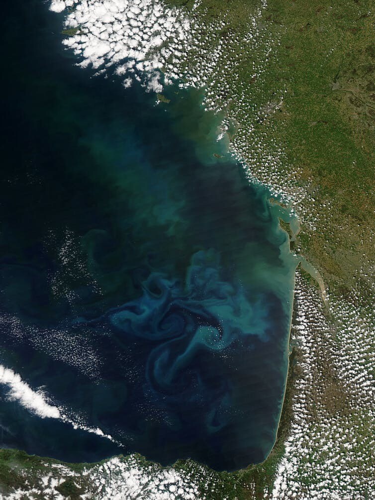 Ces circonvolutions de vert, de turquoise et de cyan renseignent sur la nature du phytoplancton au large des côtes landaises (le 4 mai 2013, satellite Terra – capteur MODIS).