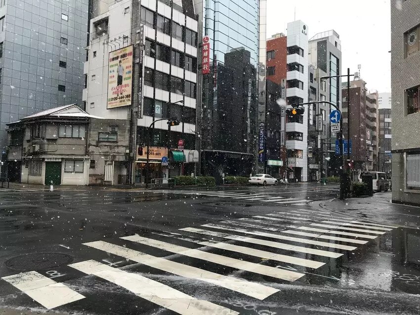 Une rare neige de fin mars qui tombe dans les rues de Tokyo. En raison de la neige et de la demande du gouverneur de Tokyo, Yuriko Koike, de ne pas sortir, la ville était plus calme que jamais