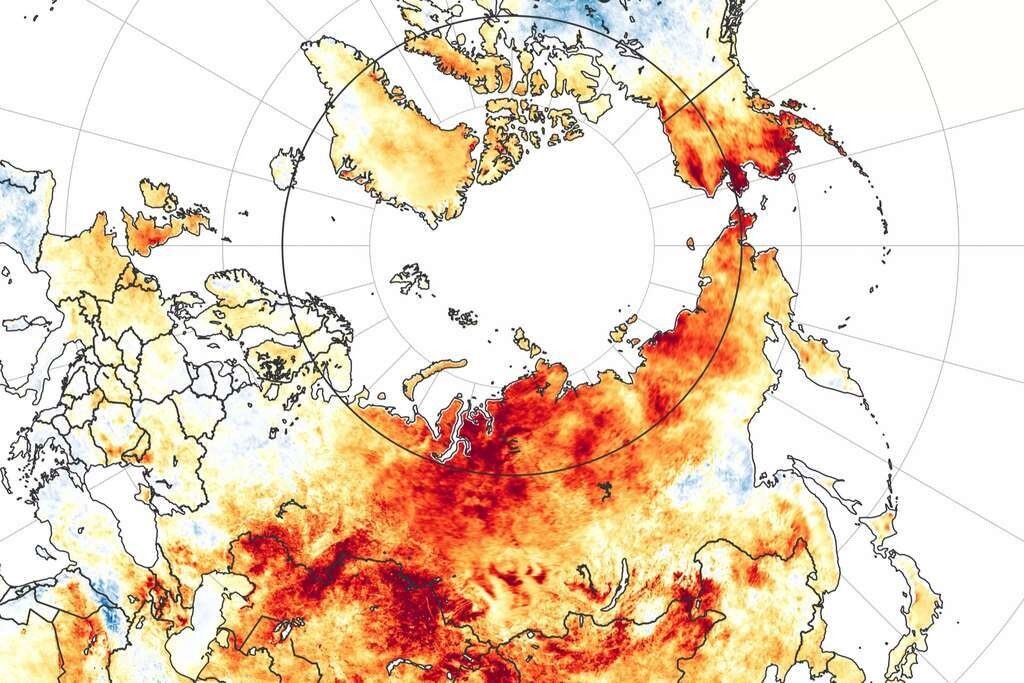 Cette carte publiée par la Nasa révèle les anomalies de températures pour la période du 19 mars au 20 juin 2020. Les zones en rouge sont plus chaudes que la moyenne des années 2003 à 2018, tandis que les rares zones bleues sont plus froides.