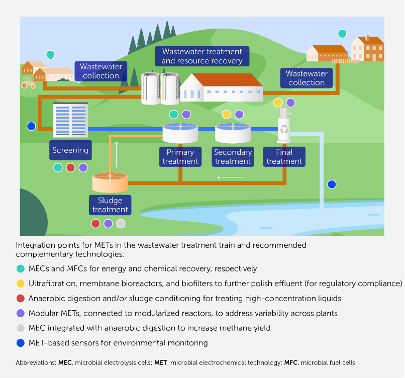 Microbes can play a role throughout the water treatment process.