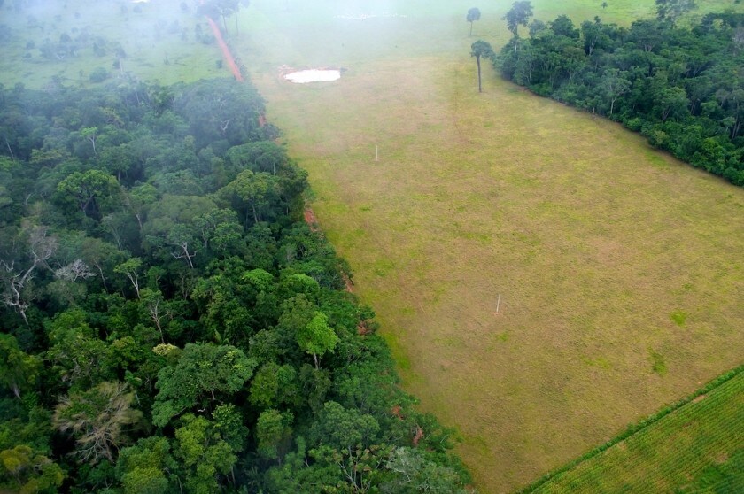 Exemple de déforestation pour les besoins de l'agriculture en Amazonie, au Brésil.