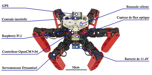 Le robot AntBot et l’ensemble de l’électronique et des capteurs bio-inspirés qu’il embarque.