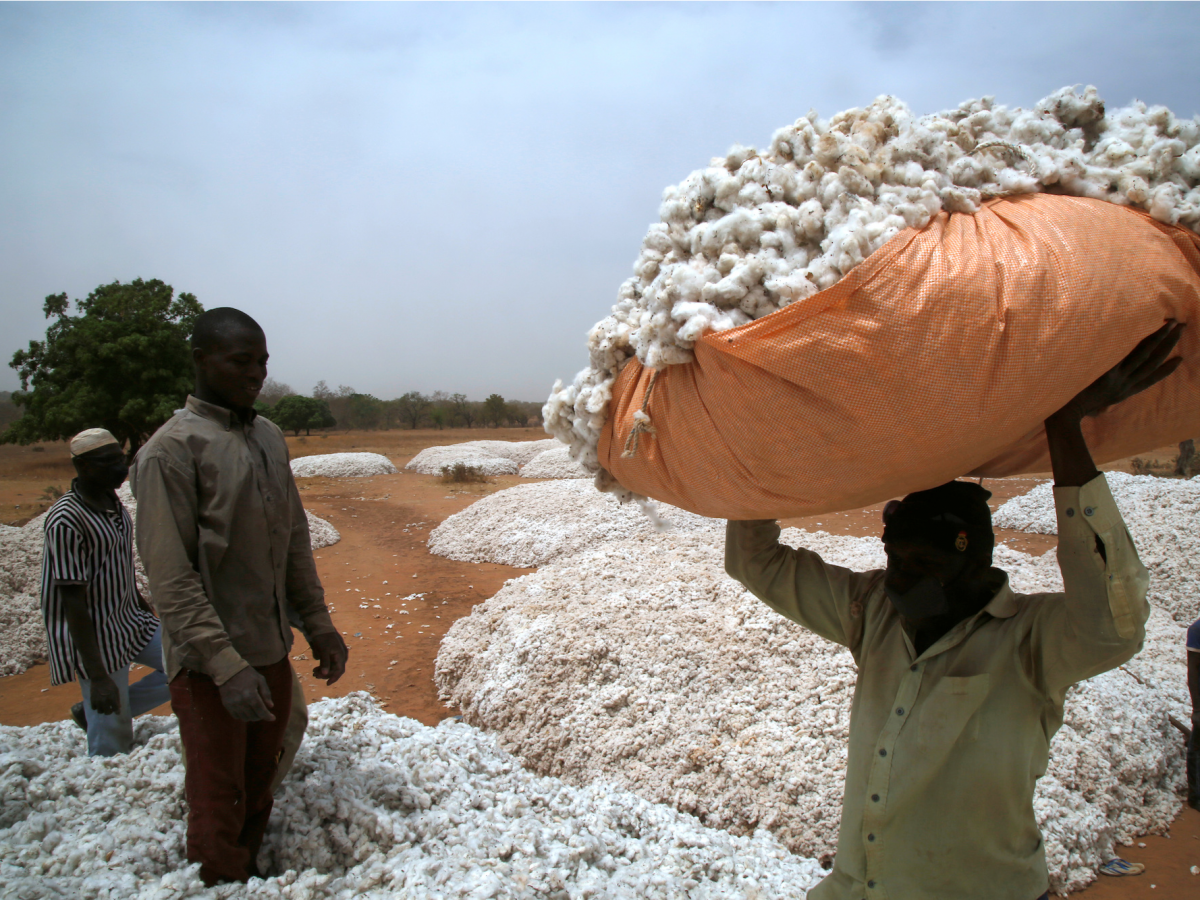 Farmers work at a cotton market in Soungalodaga village near Bobo-Dioulasso, Burkina Faso March 8, 2017. REUTERS/Luc Gnago