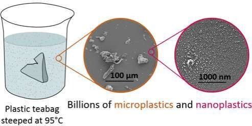 Selon les chercheurs de l’université McGill (Canada), il y aurait, dans une seule tasse de thé, entre 13 et 16 microgrammes de plastique ! Un gramme de sel en contient seulement 0,005 microgramme.