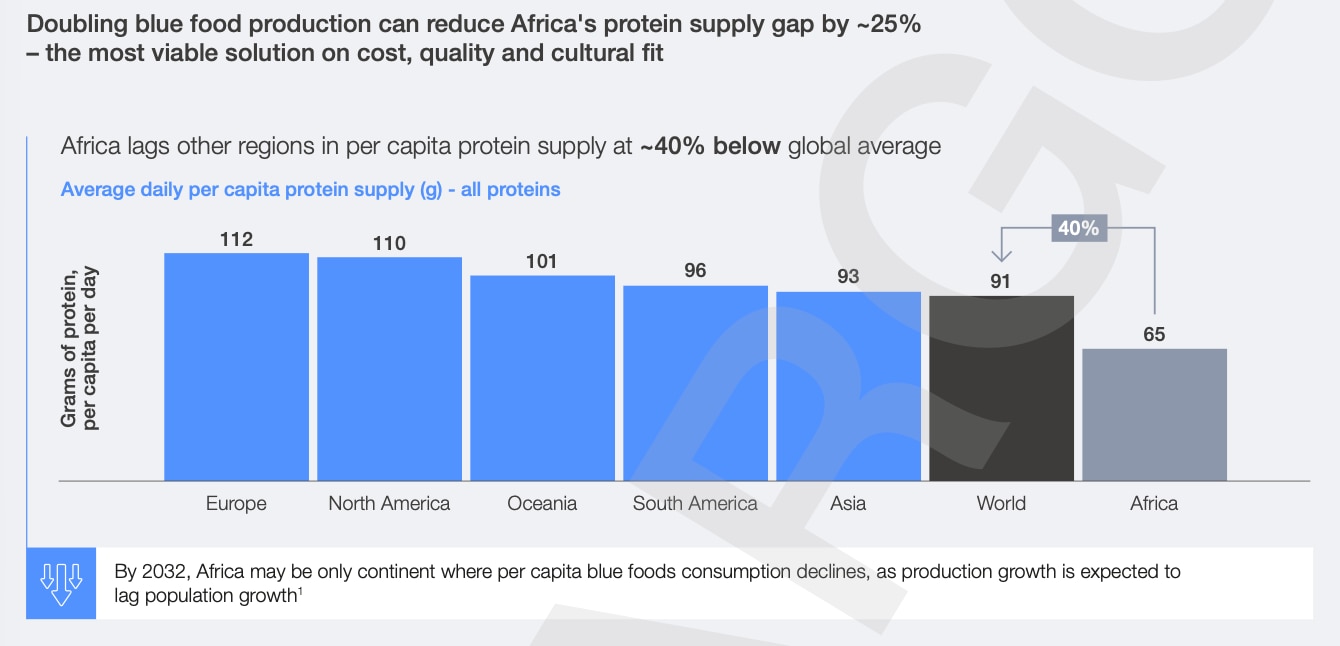 doubling blue food production in Africa could reduce the per capita protein gap by about 25%