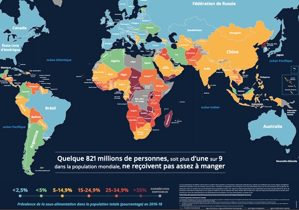 De l’Afrique et de l’Asie à l’Amérique latine et au Proche-Orient, 821 millions de personnes, soit plus d’une personne sur neuf dans le monde, n’ont pas assez à manger.