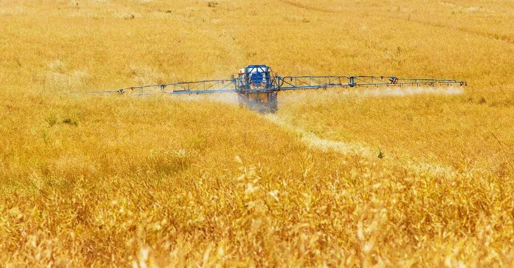 Pour les chercheurs de l’université de Munich (Allemagne), l’agriculture est responsable du déclin marqué des insectes depuis quelques années. Pourtant, elle dépend énormément des capacités de pollinisation de ces mêmes insectes.