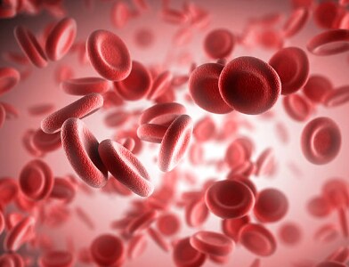 The ABO blood groups are the most widely recognised.