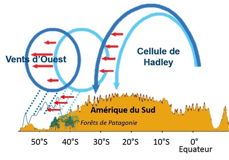 Élargissement de la cellule de Hadley dans les Andes.