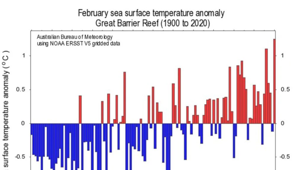 En février, les températures de la mer autour du récif ont été les plus chaudes jamais enregistrées.