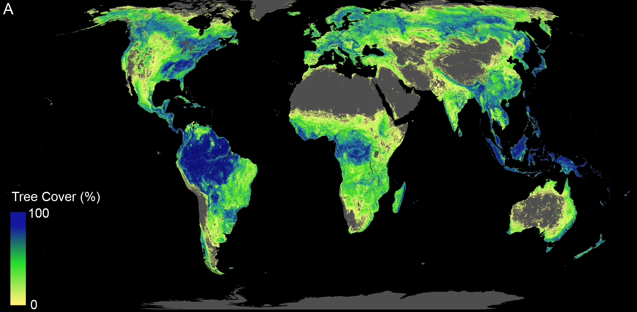 Total land available that can support trees across the globe (total of current forested areas and forest cover potential available for restoration).