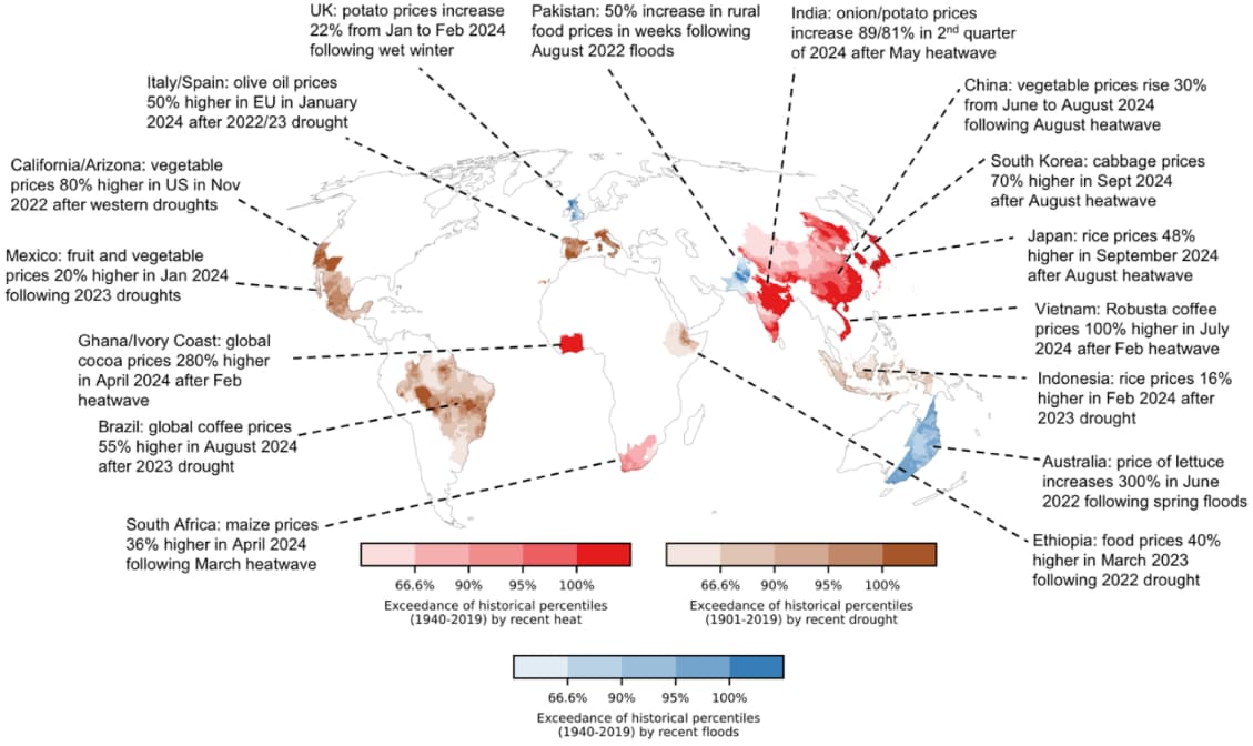 Extreme weather exceeding historical precedent is affecting food prices, a new report says.