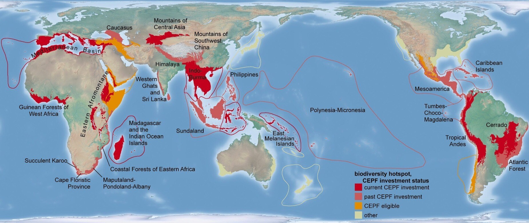 What Are Biodiversity Hotspots And Why Do They Matter World Economic 