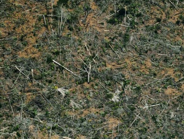 Vue aérienne d'une zone de déforestation de la forêt amazonienne, le 23 août 2019, près de Porto Velho, dans le nord du Brésil.