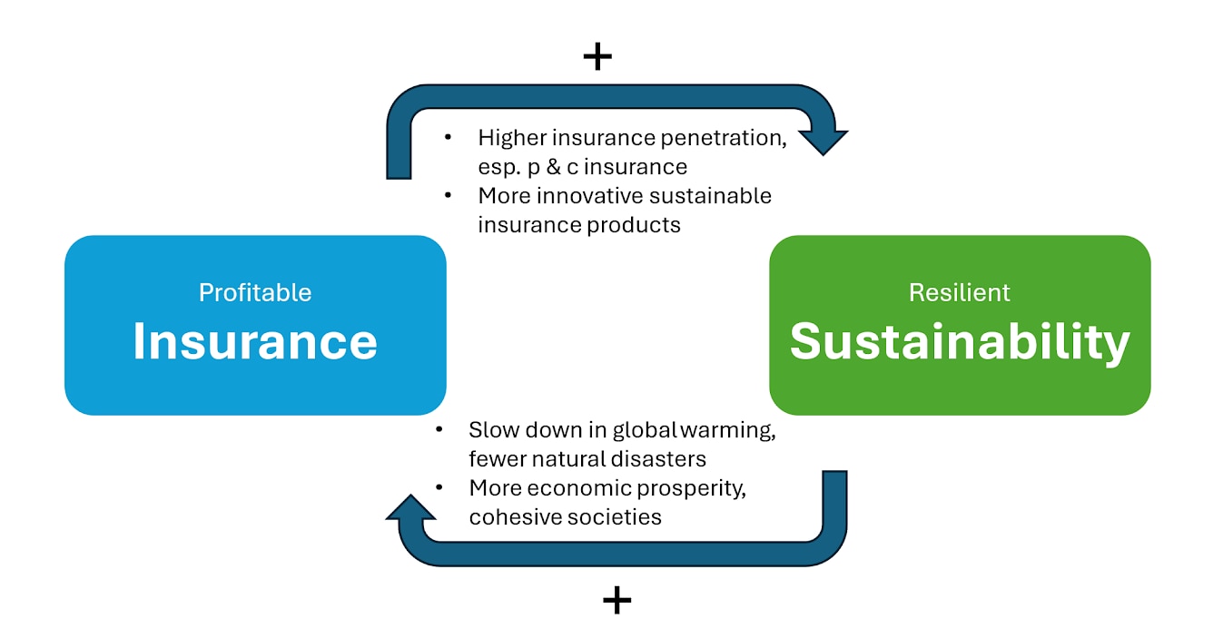 The virtuous cycle of profitable insurance and resilient sustainability.