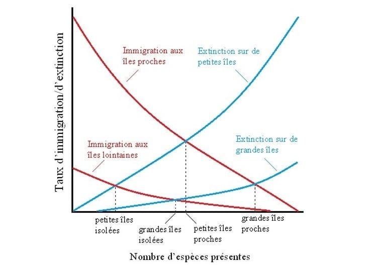 Illustration de la théorie de l’île biogéographique de R. MacArthur et E. Wilson, basée sur deux prédictions : les taux d’immigration sont plus élevés vers les îles proches d’une source de colonisateurs, et les taux d’extinction des espèces sont élevés sur les petites îles. Le modèle montre qu’il y a un plus grand nombre d’espèces dans les grandes îles proches que dans les petites îles isolées.