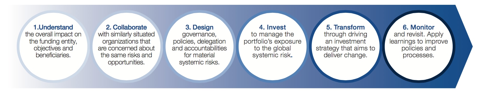 Transformational Investment: Converting Global Systemic Risks into Sustainable Returns