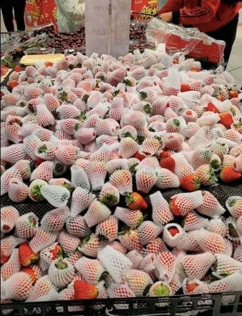 Des fraises emballées individuellement.