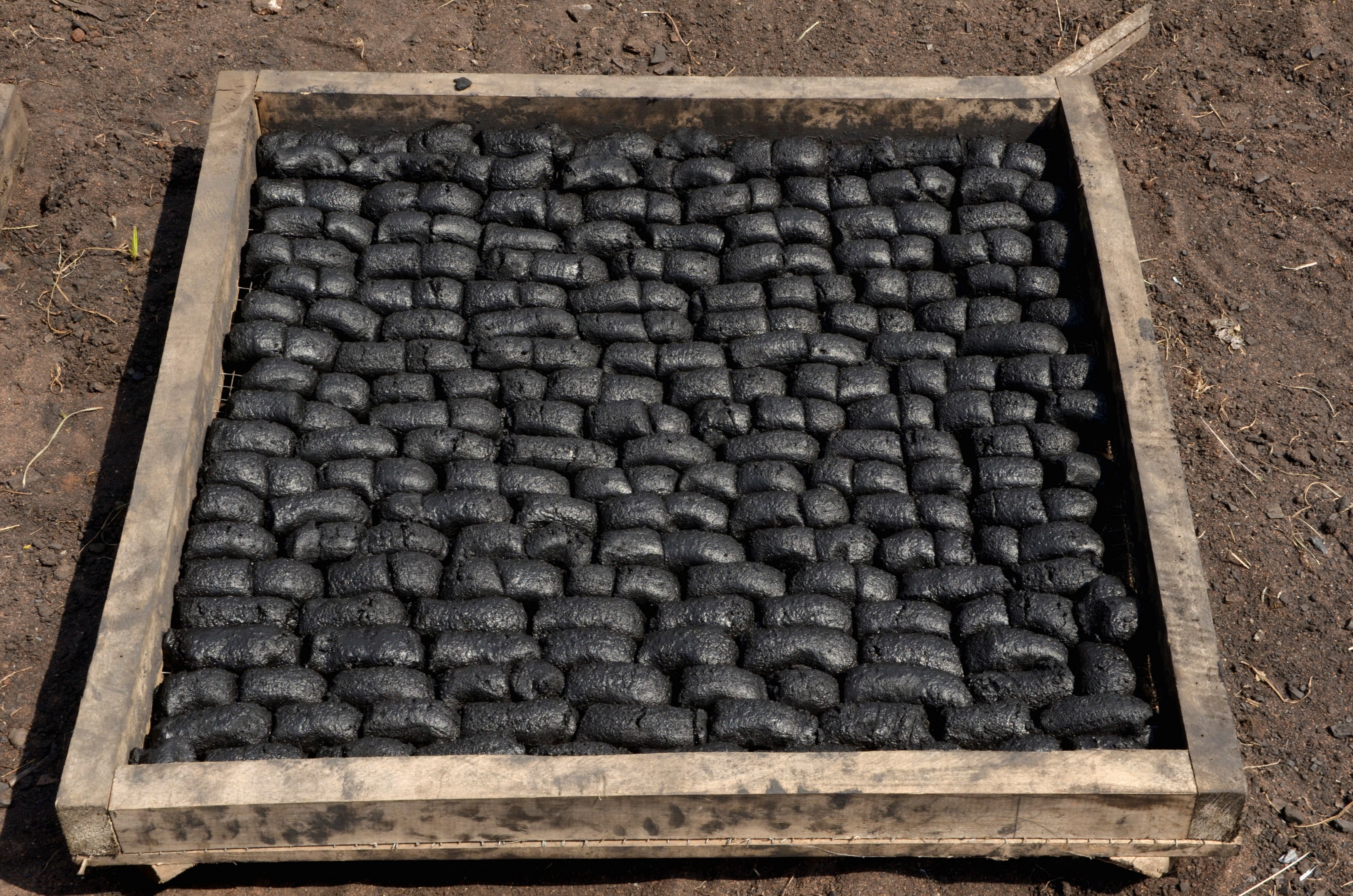 Charcoal/Biochar made with plant waste is left to dry, in Cotonou, Benin January 27, 2023