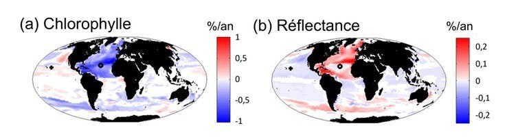 Évolutions de la concentration en chlorophylle et de la réflectance des océans simulées par le modèle. Les évolutions sont calculées en pourcentage par an d’ici 2100. Une couleur rouge traduit une forte augmentation et une couleur bleue une forte diminution, une couleur blanche indique une absence de changement. Le modèle prévoit donc de fortes modifications de la chlorophylle et de la réflectance d’ici 2100 dans l’ensemble des océans.