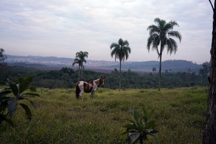 Vue générale du bassin de Colônia.
