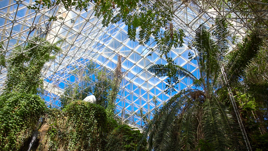 The rainforest biome in Biosphere 2.