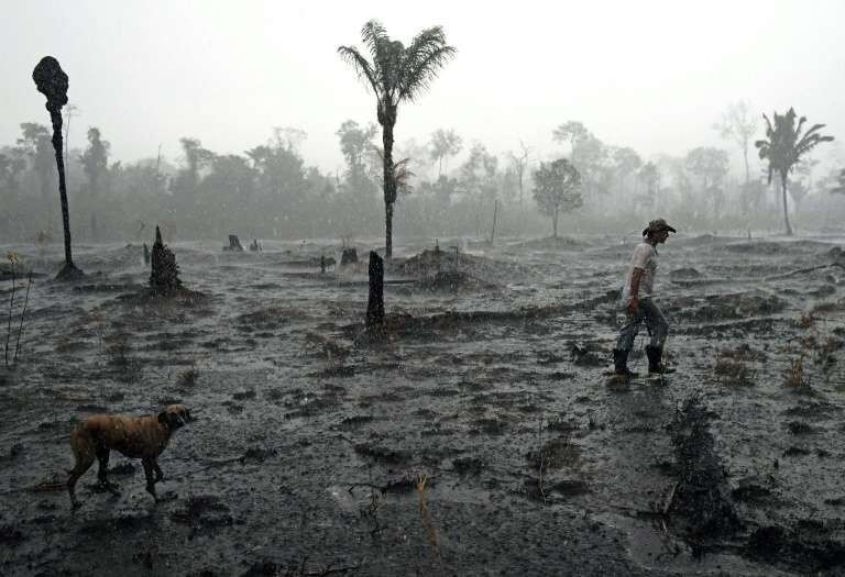 Le fermier brésilien Helio Lombardo Do Santos dans un secteur brûlé de la forêt amazonienne près de Porto Velho (nord-ouest du Brésil), le 26 août 2019.