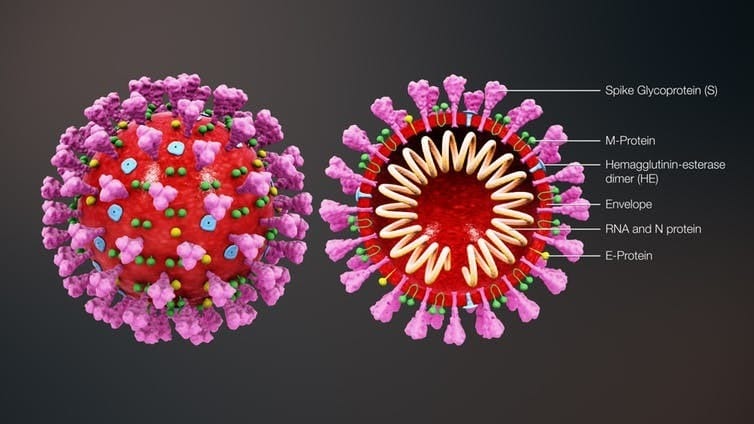 Coronavirus Covid-19 virus infection China Hubei Wuhan contagion spread travel trade health industry economics 