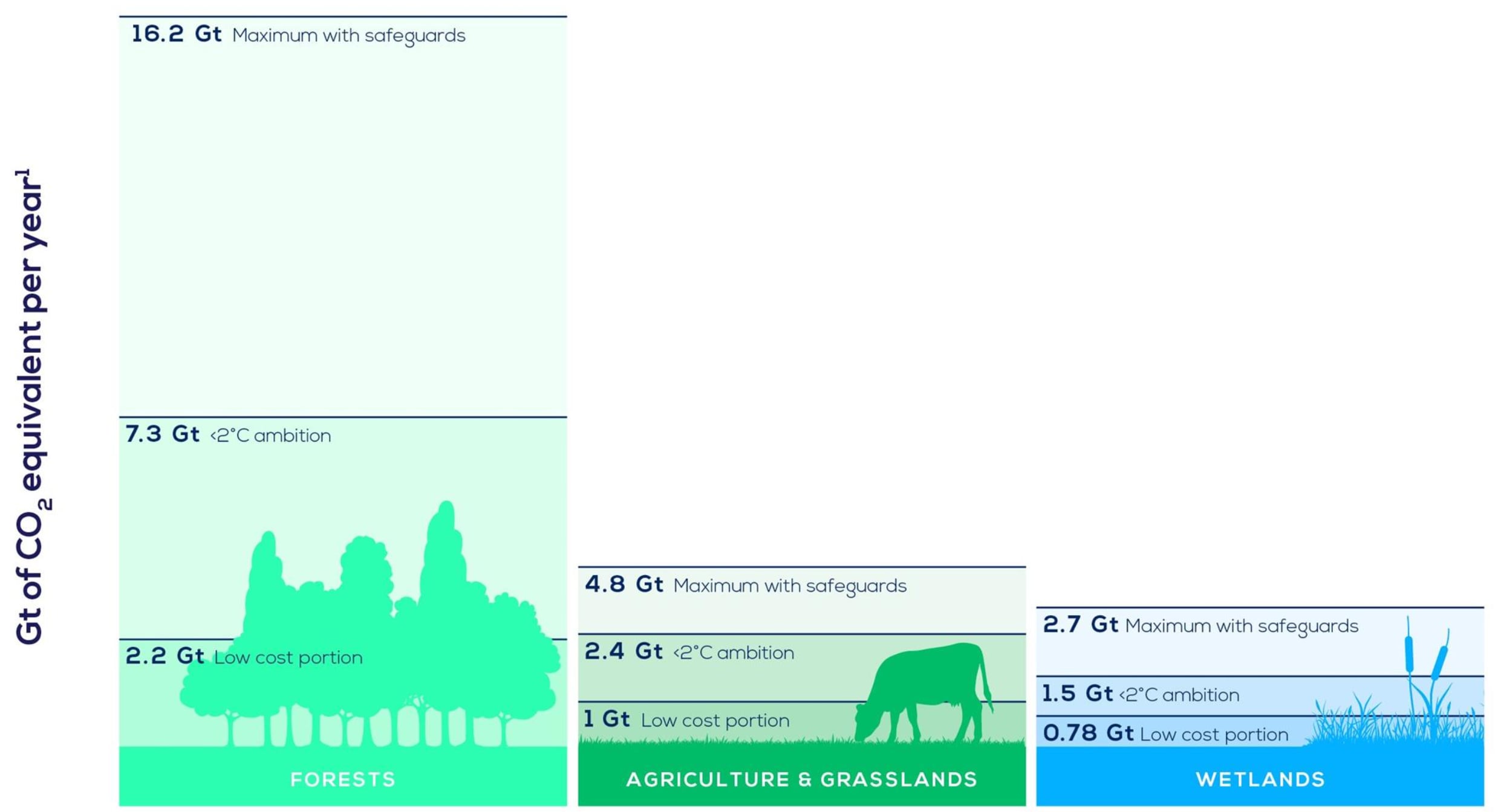 Uredelighed Fortryd Trunk bibliotek What are natural climate solutions? | World Economic Forum