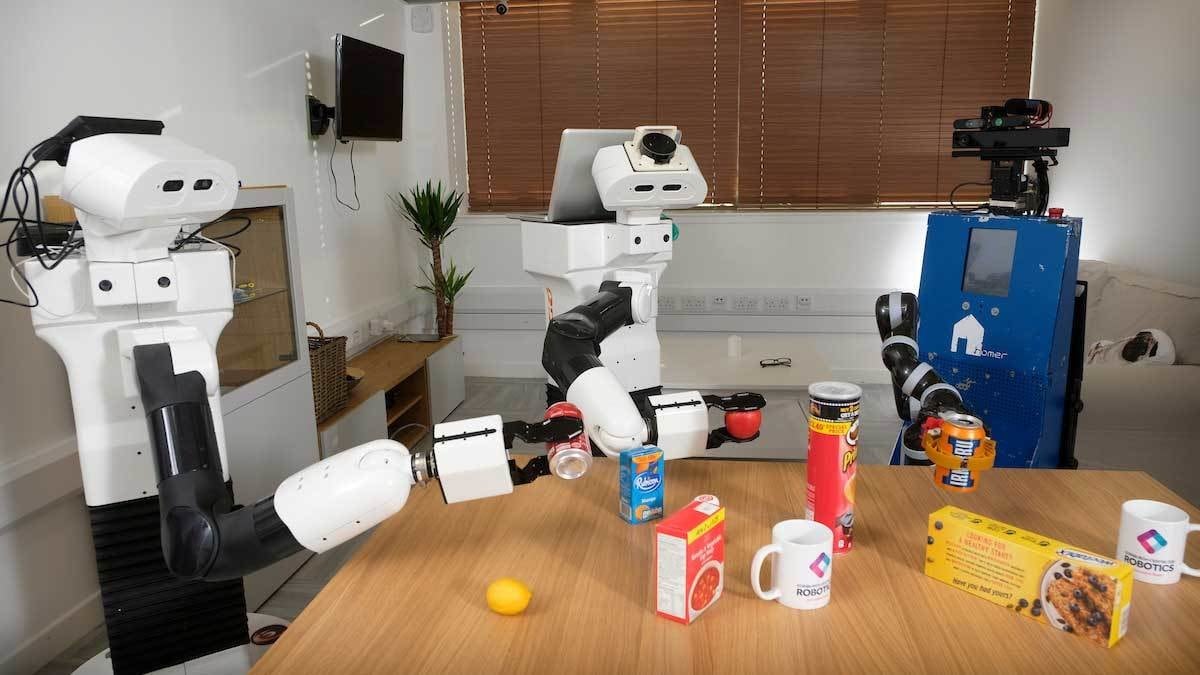 Assisted living robots could partner with carers in social care settings. 