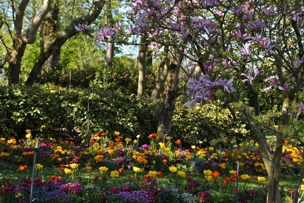 Dans les parcs, les promeneurs décrivent une expérience sensorielle très distincte de celle vécue en ville (Jardin des Plantes).