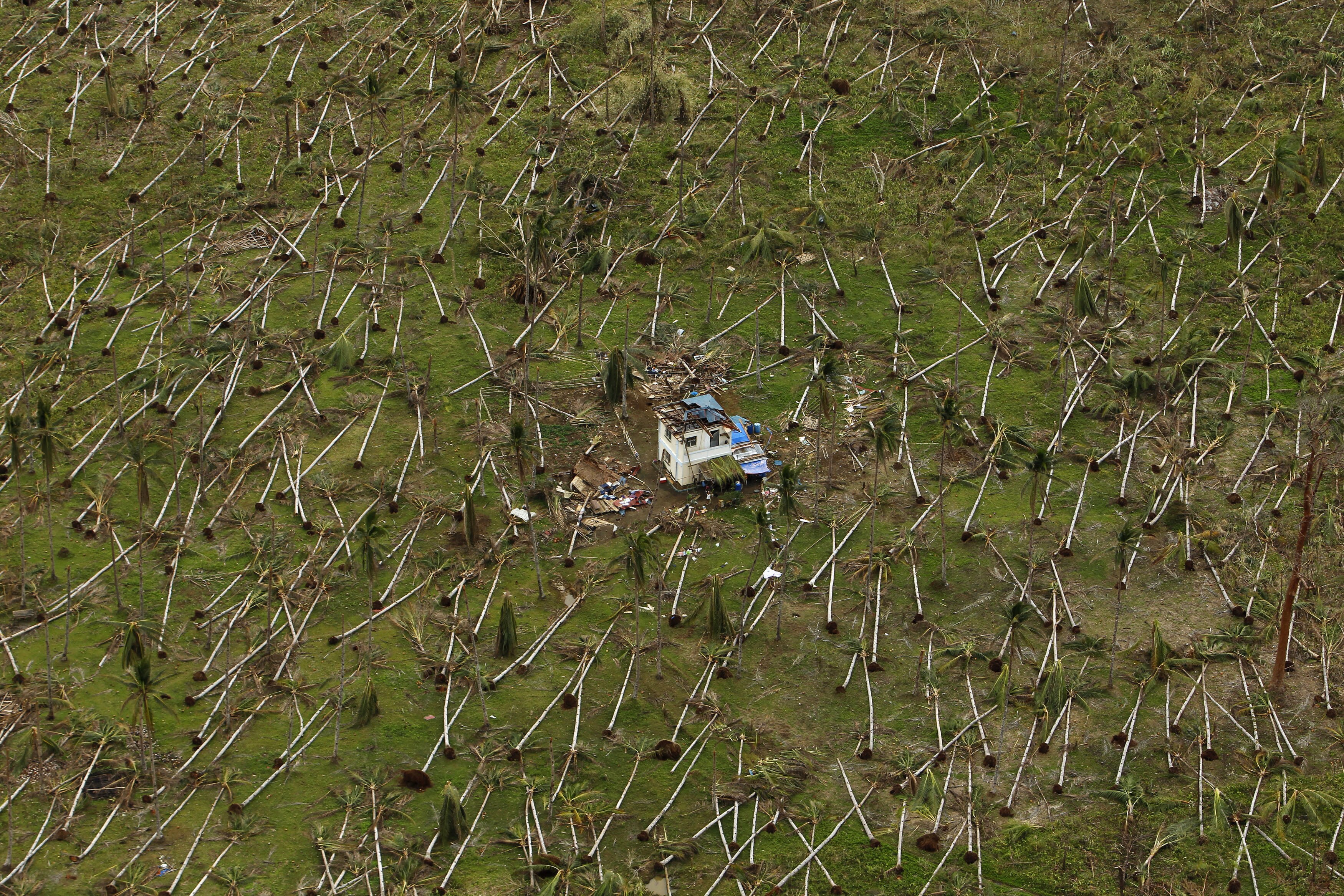 Une maison détruite au milieu d'arbres tombés, au centre des Philippines.