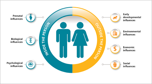 Many factors influence a person's metabolic balance throughout their life         