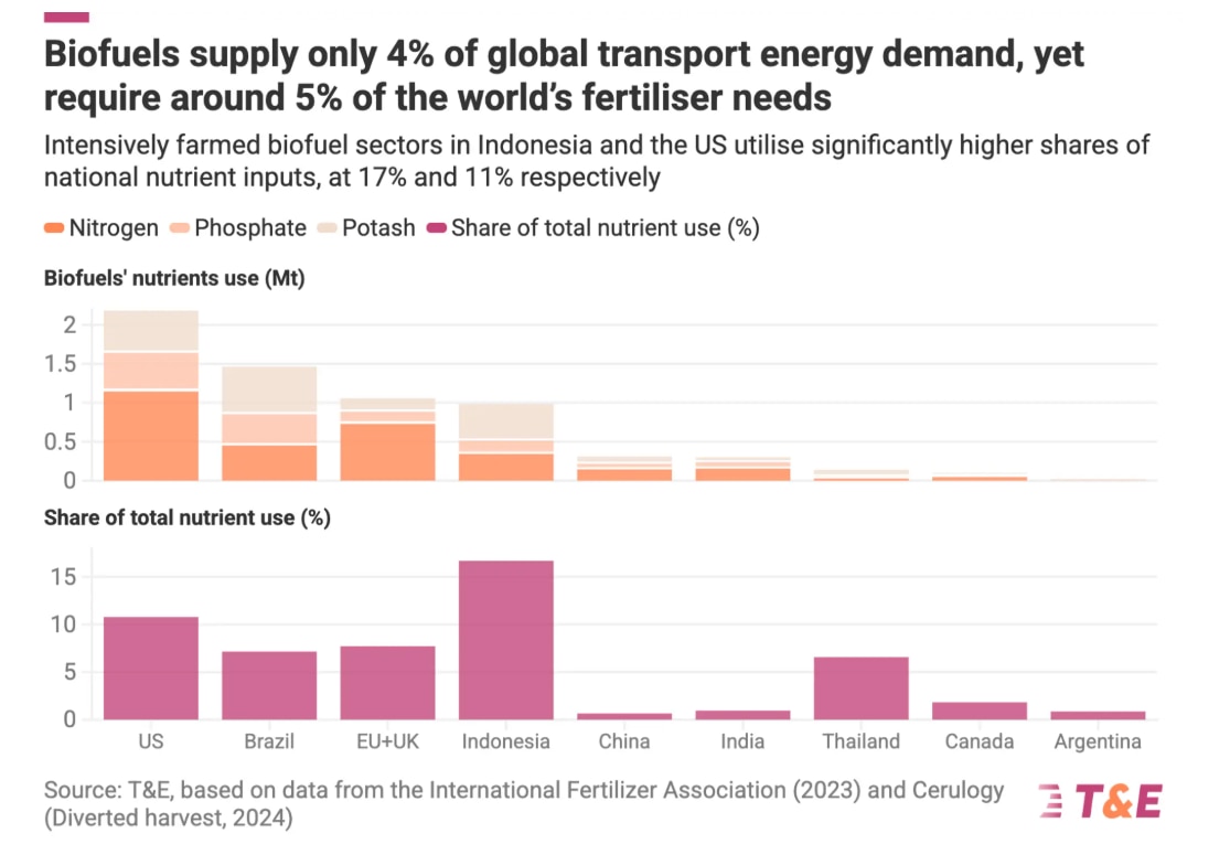 Biofuels supply only 4% of global transport and energy demand.