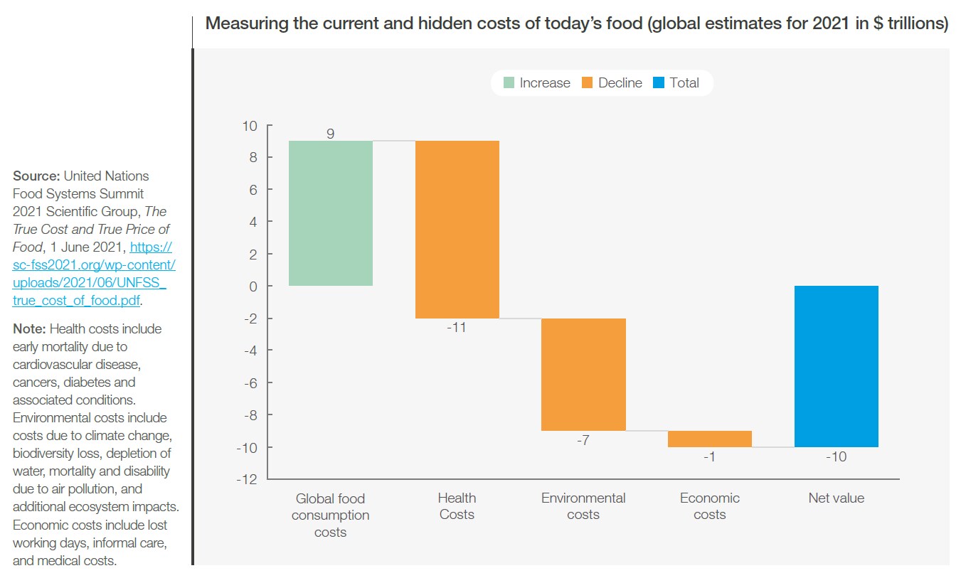 Measuring the current and hidden nutrition related costs.