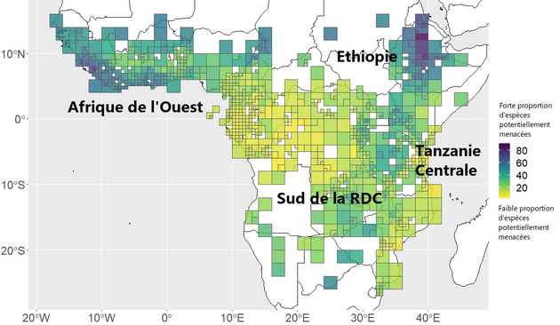 Les plantes les plus menacées en Afrique tropicale.